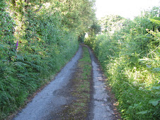 High hedges down country lanes....