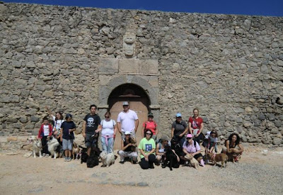 Dog Trekking to Guincho