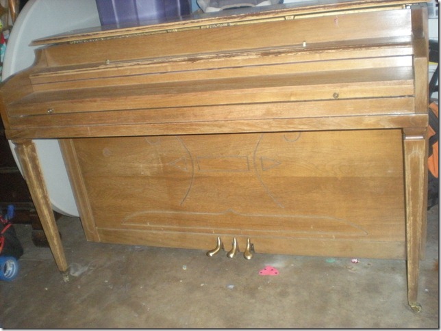 DSCN3404