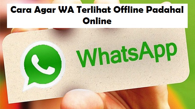 Cara Agar WA Terlihat Offline Padahal Online