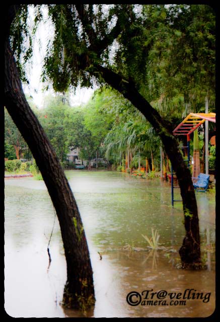 Noida parks flooded with water after rains 2010 - Sector-26 : Monsoon Effect in Noida : Posted by VJ SHARMA at www.travellingcamera.com : This weekend I had to go for a Photo-Walk at Old Fort in Delhi but due to heavy rains I canceled that program and woke up at 11:30 am on Sunday... After that I came out and noticed that many areas in my sector were flooded with water and the park near my house was completely filled with rain water in it.. Here are few photographs of the Sector-26 park after rains on Sunday...Here was the first few I saw in the morning... and then want back to my room to have Camera for capturing these moments :-)One part of Sector-26 park in Noida... where everything is flooded in water and one can walk on the concrete pathways on all four sides...I have seen worst condition of Noida after rains this year... I have been staying here for last 5 years and never seen this kind of after-effects of rains... Noida which is short for the New Okhla Industrial Development Authority, is an area under the management of the New Okhla  Industrial Development Authority... Noida has first-class amenities and is considered to be one of the more modern cities of Uttar Pradesh State of India. It is also home to the Noida Film City...Arre bhai kahan jaoon.. har jagah Paani hi Paani...Fresh green leaves after rains...When it rains, look up rather than down. Without the rain, there would be no rainbow...Noida is a major hub for multinational firms outsourcing IT services... Many large Software and Business Process Outsourcing (BPO) companies have their offices in the city...Generally noida is green and well planned as compared to other cities in UP.... although many of outsiders don't find it a good city to live...Here is the bench where we used to spend lot of time after dinner... Many times plan for morning walks but finally stick to this bench....Rains, Rains go away... please...some reflections inside the water... Hope it gets dry in short time...Reflection of colorful benches in Sector-26 Park in Noida...Water, Water... Everywhere water... no place to sit and no place to play around...Can we store this water somewhere? Many times I see folks in Sector-26 who waste lot of water for washing their multiple cars in summers when some of the areas in Noida doesn't get enough water for their routine activities... but now rains have already washed their cars :-)Its sad that children were not able to enjoy/play outside due to these heavy rains... Check out more about Noida @ http://en.wikipedia.org/wiki/Noida