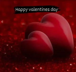 Happy Valentines Day 2023 Wishes, Quotes, Shayari, Picture In Bengali Status (ভ্যালেন্টাইন্স ডে এসএমএস, মেসেজ, শায়েরি)