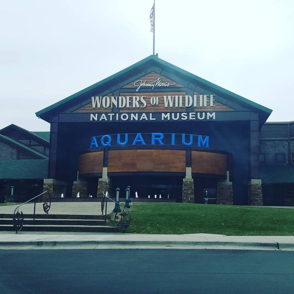 Play St. Louis: Wonders of Wildlife National Museum and Aquarium ... - 29313171 10215821367717019 4354164151635935232 N