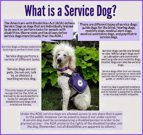 What is a #ServiceDog Infographic by Carmapoodale.com