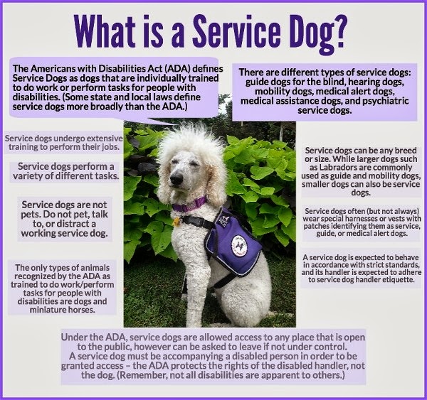 What is a #ServiceDog Infographic by Carmapoodale.com