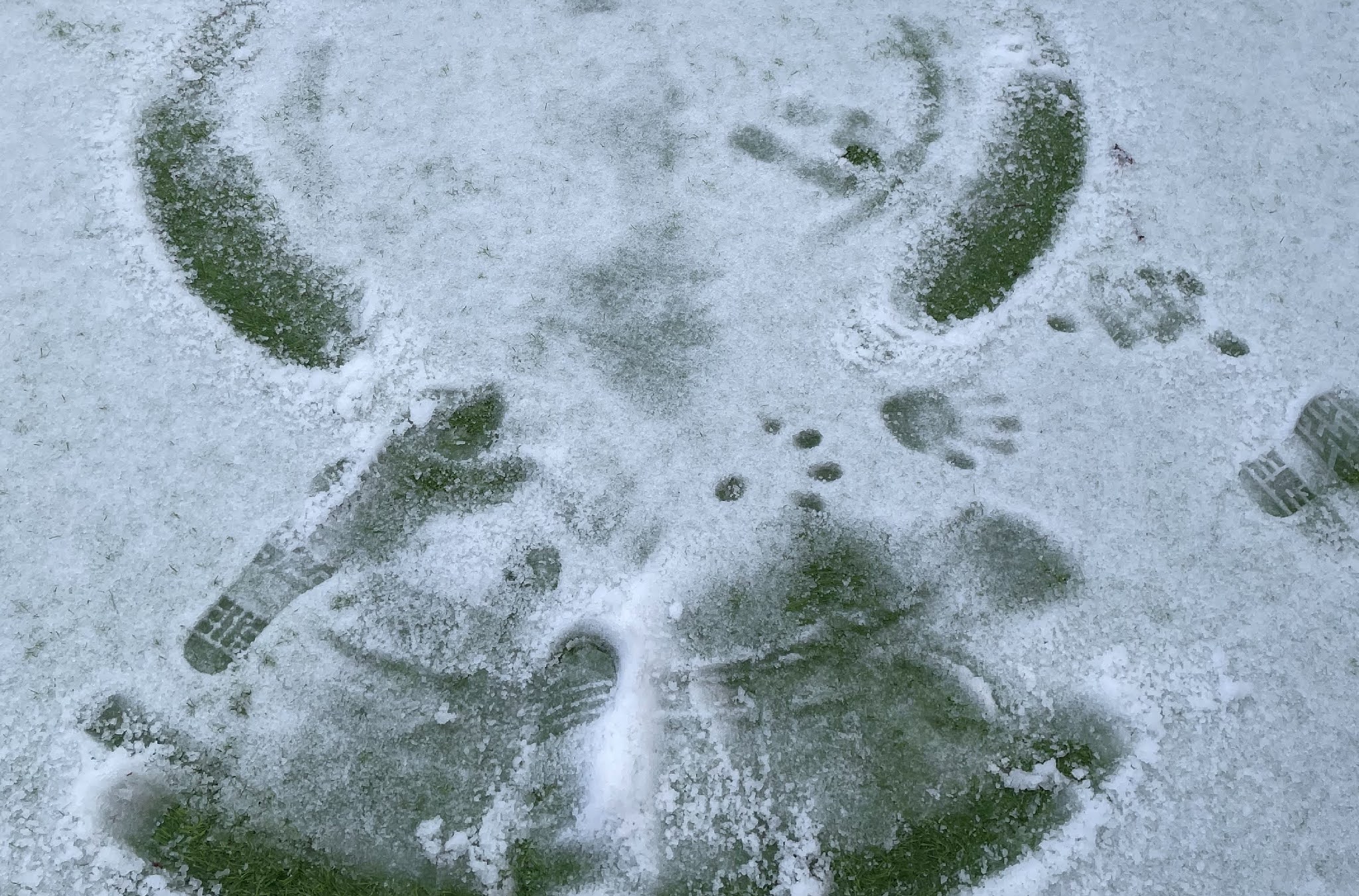 snow angel print