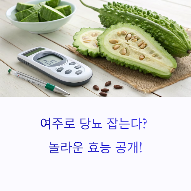여주효능