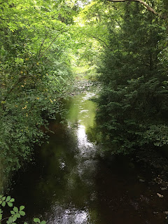 Water of Leith with trees either side.