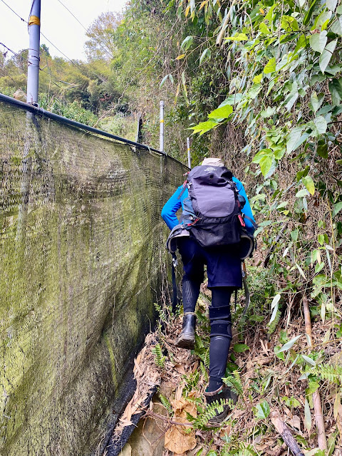 往大南坑山主峰