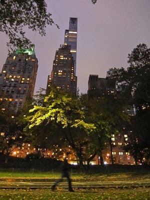 078dev-DSCF3427