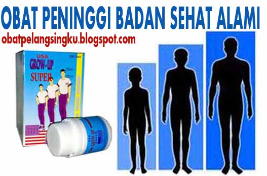 peninggi badan jambi