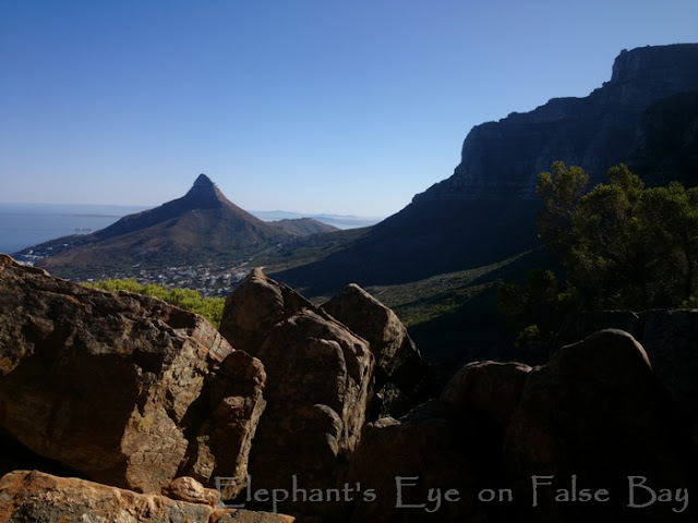 From Woody Ravine looking back to Lion's Head