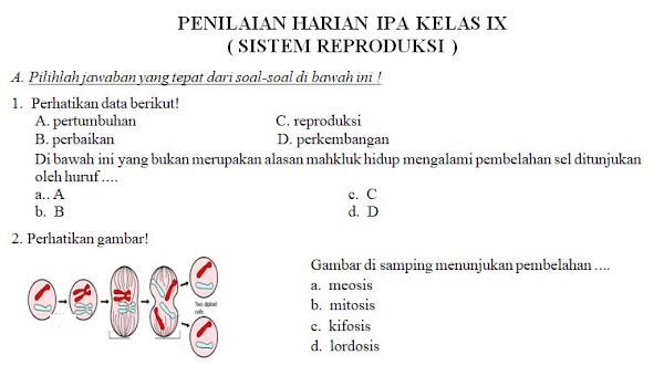 Soal Penilaian Harian IPA Kelas 9 Materi Sistem Reproduksi 