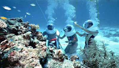 Diving Di Pulau Menjangan