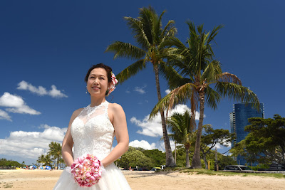 Bridal Dream Hawaii