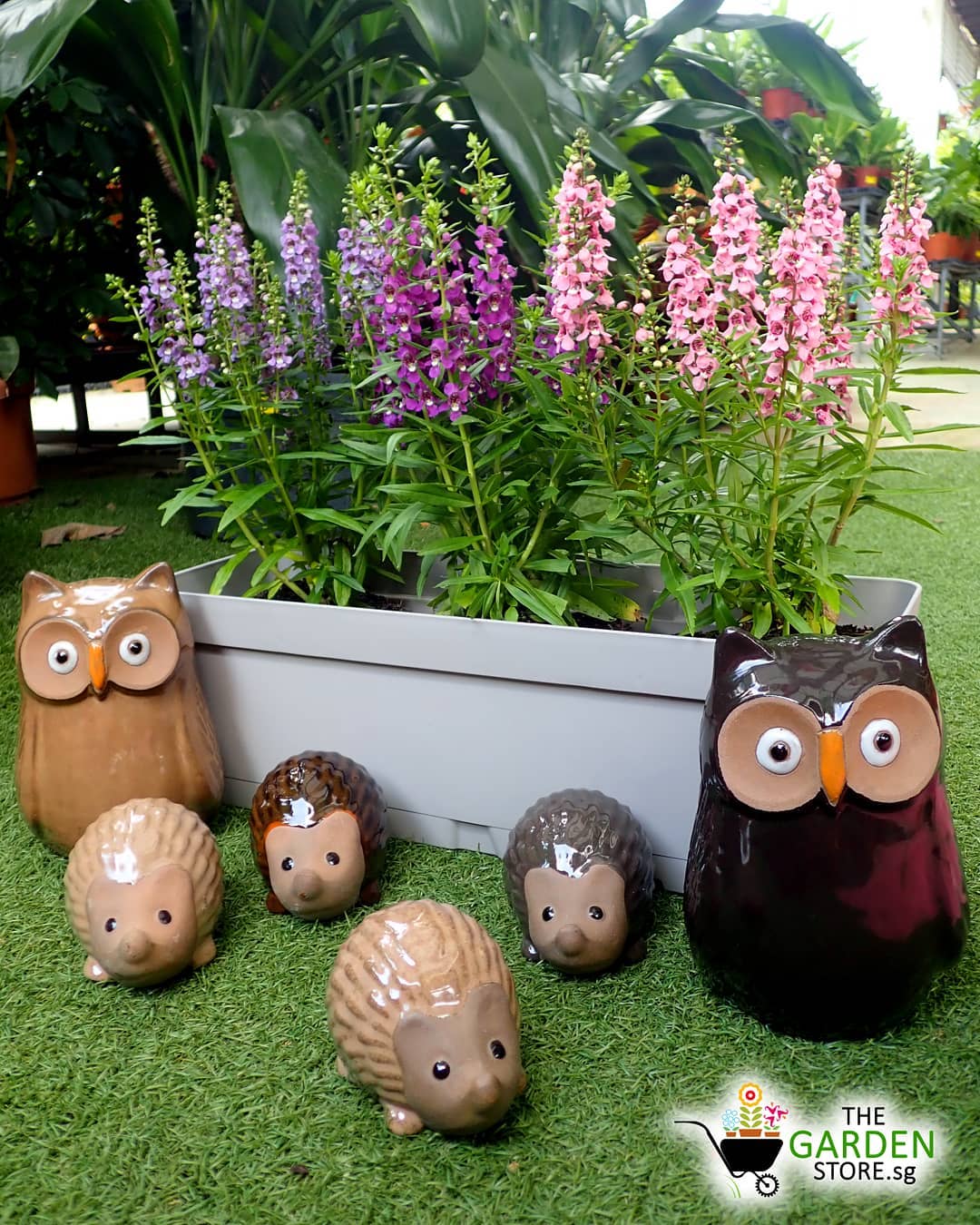 13 Plant Nurseries In Singapore For All