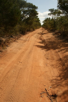 Old Telegraph Track, Cape York