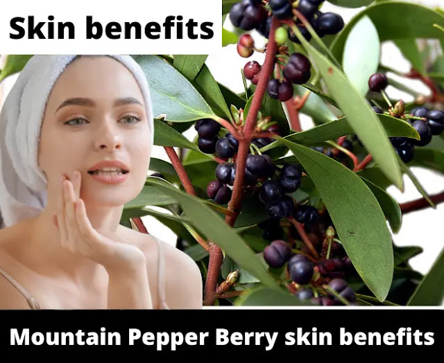Mountain Pepper Berry skin benefits