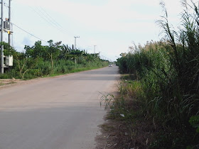 Pertengahan jalan