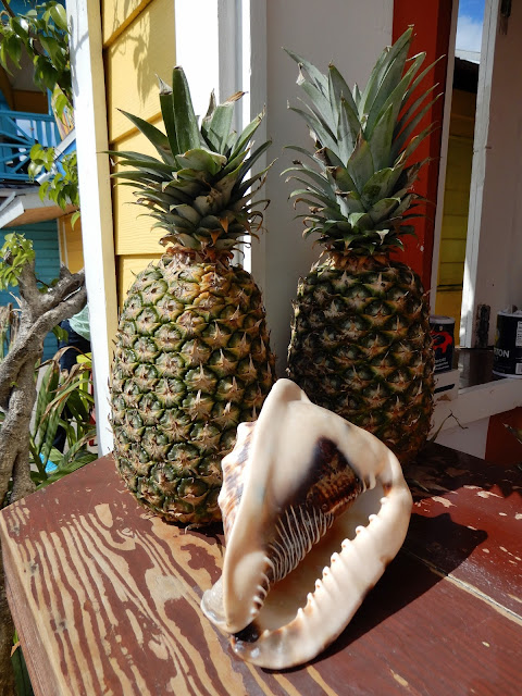 pineapples and conch shell