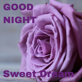 GOOD NIGHT SWEET DREAM IMAGE WITH ROSE