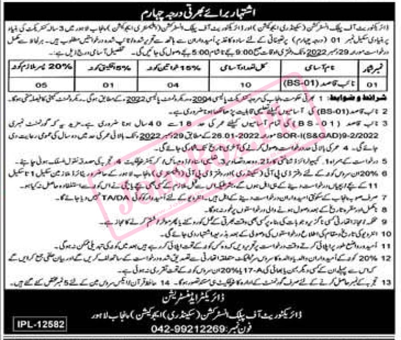Directorate of Public Instruction (Elementary) Punjab Jobs 2022 Latest Advertisement
