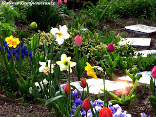 Ziergarten im Frühling