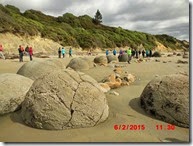 NZ-2015-0908