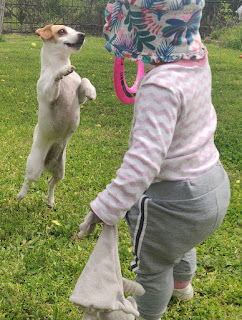 Thelma and Rosie playing together