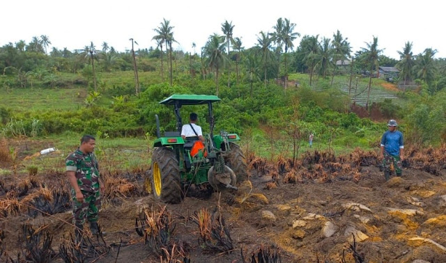 Danramil R Simanjuntak Ikut Turun Membersihkan Lahan untuk Dijadikan Lahan Pangan Koramil 01/Ranai