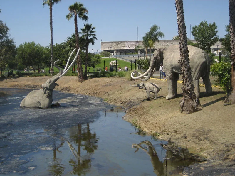 The La Brea Tar Pits and Museum