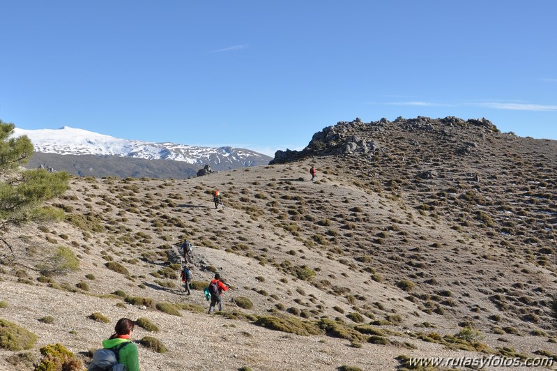 Trevenque - Cerro del Cocón - Cerro Gordo - Pico de la Carne