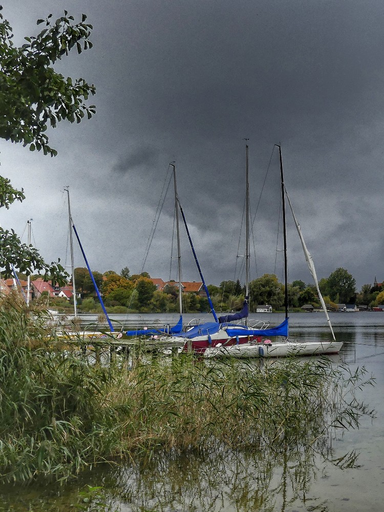 Biosphärenreservat Schaalsee,  kloster, Zarrentin