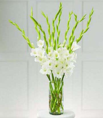 Gladiola Centerpieces