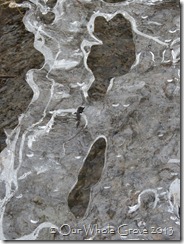 liquid ice III