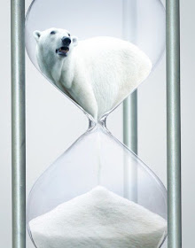 Green Pear Diaries, publicidad, publicidad incómoda, oso polar