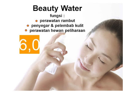 Peluang Bisnis Kangen Water 