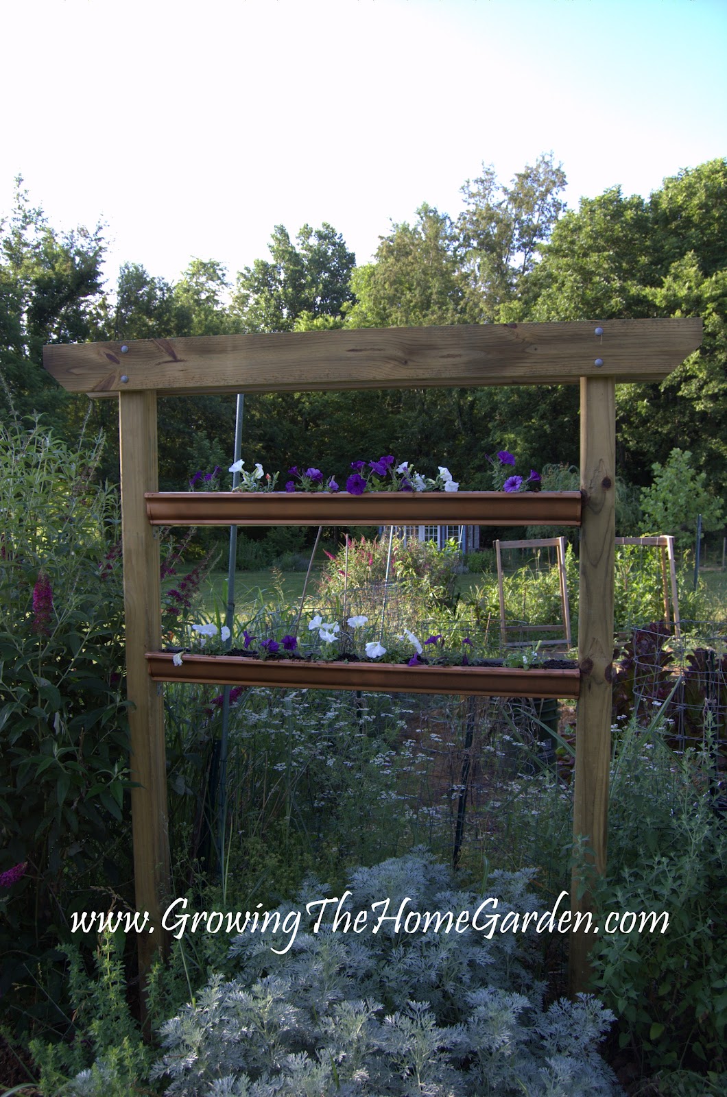 Growing The Home Garden: Gardening in the Home Landscape: May 2012