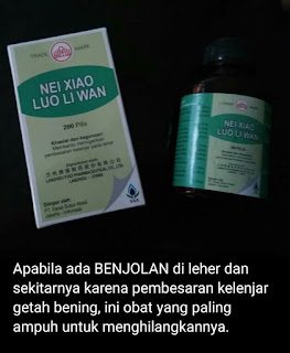 gambar Obat NEI XIAO LUO LI WAN