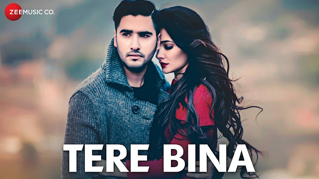 Tere Bina Song Lyrics - Official Music Video | Amir Sheakh | Renuca Singh
