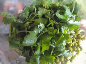 Add coriander leaves