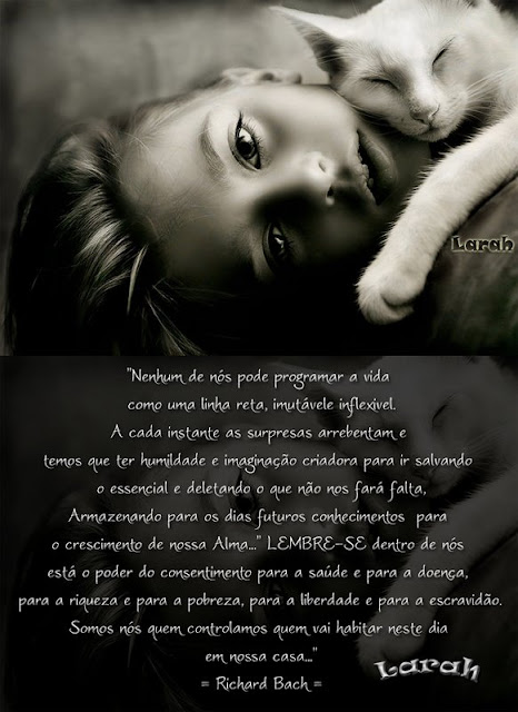 http://animaldeestimacao-amor.blogspot.com