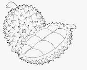 Gokil 50+ Gambar Buah Durian Untuk Mewarnai