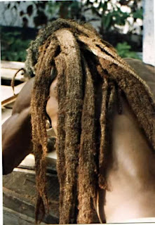 Pictures of Dreadlock Hairstyles - Dreadlock hairstyle Ideas