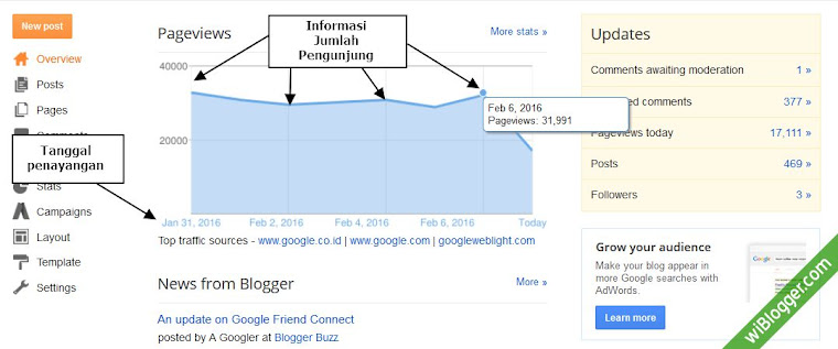 penjelasan seputar visitor blog pada halaman overview