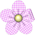 Flores PNG