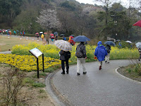 赤塚公園