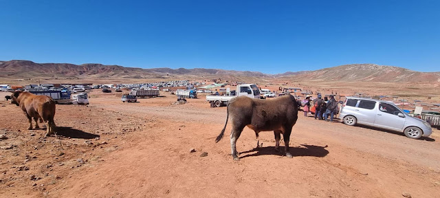 Jeden Mittwoch wird Pampa Colorada Bolivien zu einem größeren Wochenmarkt in der Provinz Chayanta. Es wird folgendes verkauft: Autos, Vieh, Artefakte, Kleidung, Gemüse und anderes. Inzwischen kann man Pampa Colorada auch aus dem Weltraum erkennen. 2003 bestand die Stadt noch aus 2 oder 3 Häuser im Jahr 1998 gab es auf den Satellitenbildern hier noch keine menschliche Siedlung zu entdecken. Die Stadt ist weiter stark am Wachsen und jetzt wünschen die Menschen sich auch eine Kirche in ihre kleine Stadt. Teil 02