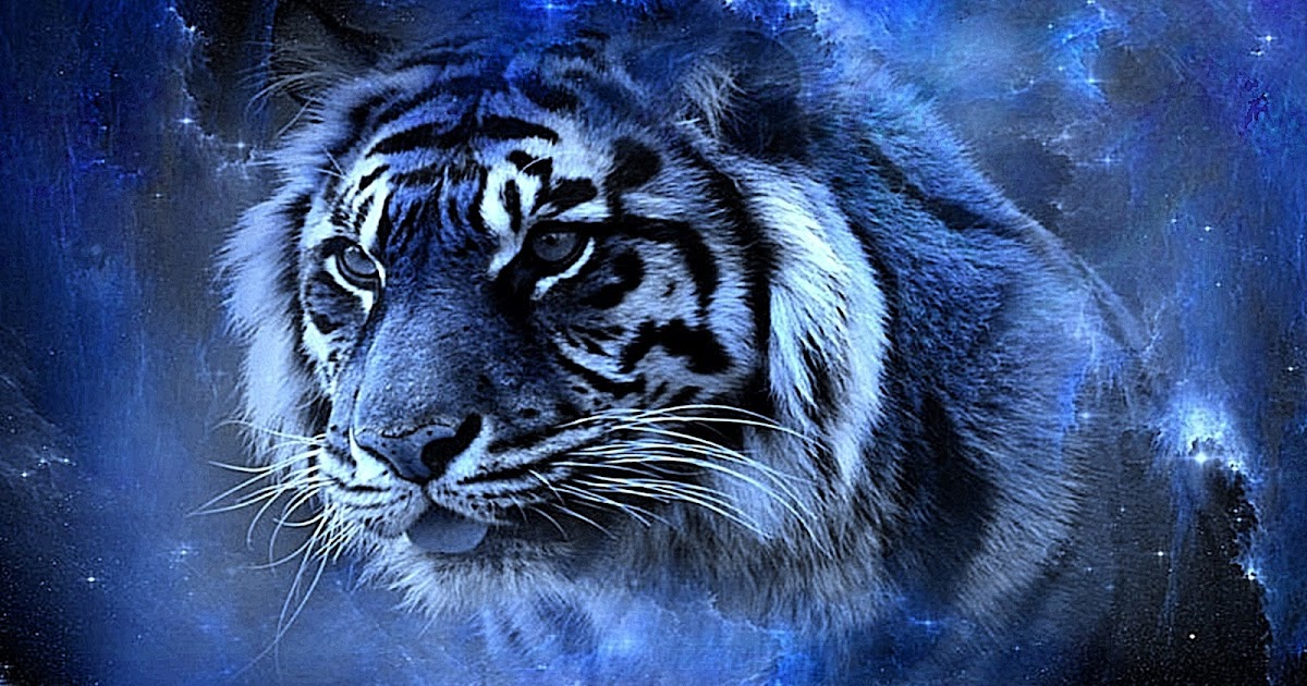 Real Tigers Wallpaper 3D Full HD 4K free  Top Model Hairstyle