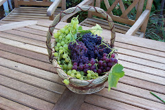 Fruit in the basket
